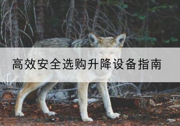 高昌升降货梯厂家推荐-*安全选购升降设备指南