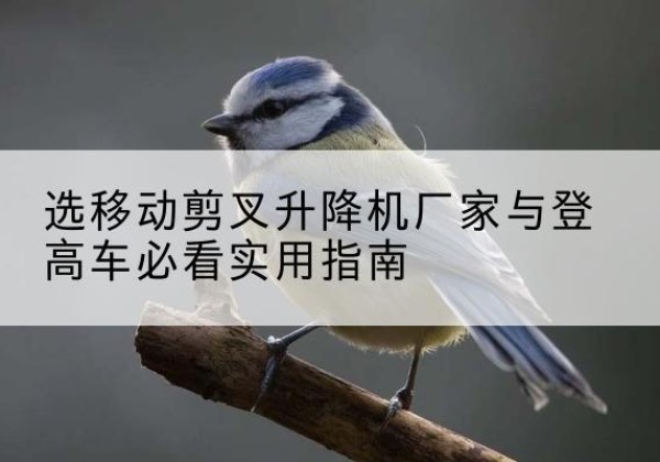 高昌电动升降机厂家-选移动剪叉升降机厂家与登高车必看实用指南